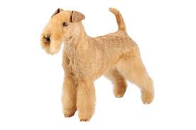 犬を家族に迎える前に